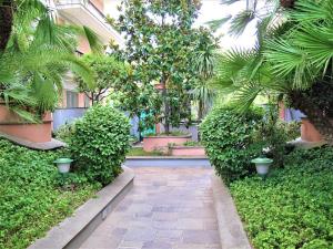 罗马Prati Fiscali Penthouse的一座种有树木和植物的庭院