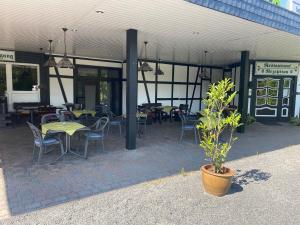 巴特洪内夫Hotel-Garni Domblick的一间设有桌椅和盆栽的餐厅