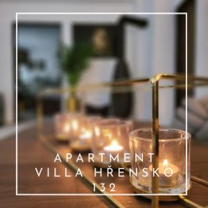 赫任斯科Apartment Villa Hřensko 132的相册照片