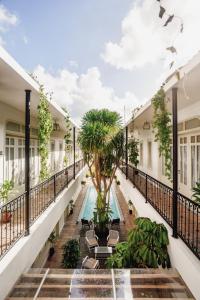 塞米亚克布朗费德酒店的一个带游泳池和棕榈树的室内庭院