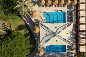 Oasis Spa Club Dead Sea Hotel - 18 Plus内部或周边泳池景观