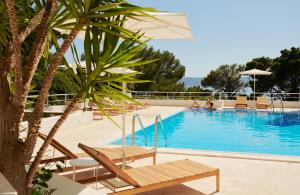 布雷拉米斯特拉尔蓝阳酒店的游泳池旁设有椅子和棕榈树