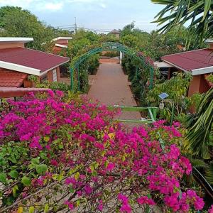 暹粒阳光精品度假酒店及餐厅的一座花园,花园内种有粉红色的花卉和一座绿色的桥梁
