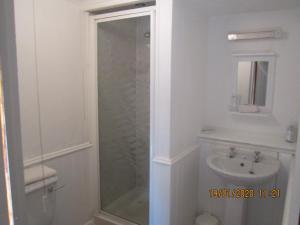尼思CWM巴赫宾馆的带淋浴和盥洗盆的浴室