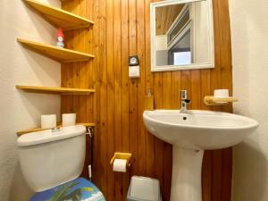 卡尔卡松L'Armagnac的一间带卫生间、水槽和镜子的浴室