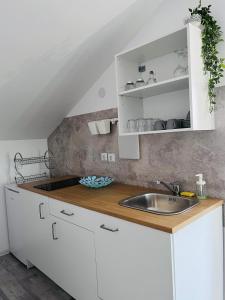 TušilovićApartman Castle的厨房配有白色橱柜和水槽