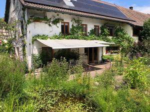 DachsenFerienhaus mit Naturgarten的屋顶上设有太阳能电池板的房子