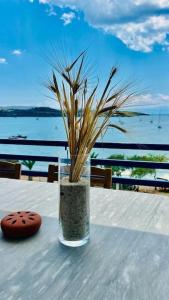 波多河丽Chrysa's Dream - Dreamy Sea View at Spacious 3BR Apt in Porto Cheli的坐在桌子上的花瓶里放着草