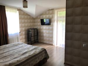 巴库里阿尼Katerina的一间卧室配有一张床,墙上配有电视