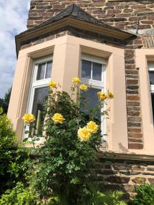 赖尔Mosel-Erker的两扇窗户和黄色鲜花的建筑