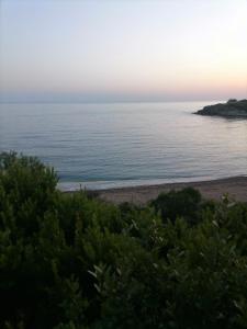 Kounopetra狄俄尼索斯公寓的海滩上可欣赏到海景