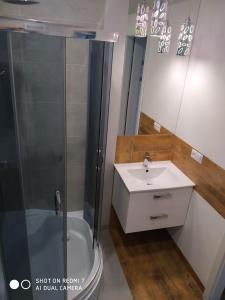 苏瓦乌基Apartament4U - Olimpijskie Ogrody的带淋浴和盥洗盆的浴室