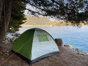 希马拉Pine Side Camp的湖畔的绿色白色帐篷