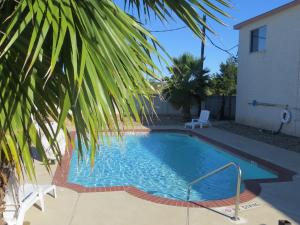 HempsteadAmericas Best Value Inn & Suites Hempstead的一座房子旁的游泳池,里面种着棕榈树