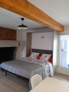 Saint-Floxel科唐坦克莱马蒂特公寓式酒店的一间卧室配有一张床和一个壁炉