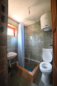 AndrijevicaKomovi Eko katun的浴室配有卫生间、淋浴和盥洗盆。
