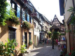 塞尔奈Appartement Sur La Route des Vins d'Alsace的相册照片
