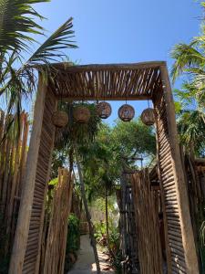 图卢姆Chiibal的一个带木门和棕榈树的花园入口