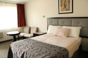 普尔曼American Travel Inn的配有一张床和一把椅子的酒店客房