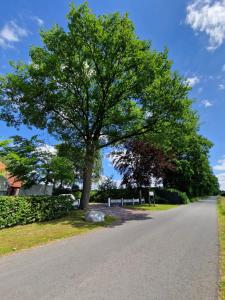 博克霍尔恩Tiny House Südliches Friesland-FRI Natur erleben的相册照片