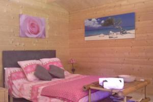 布克贝莱尔Chalet l'emiline , Gite climatisé au sud d'aix avec piscine的卧室配有粉红色的床、枕头和桌子