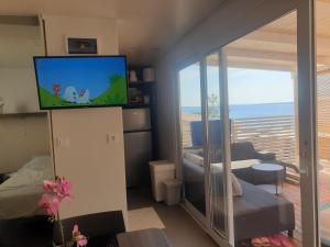 伊穆尼Mobilna kućica Nika的带平面电视的客厅和客厅。