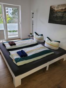 雷根斯堡Schöne, gemütliche möblierte 2 Zi Wohnung in RGB的一张床上的枕头