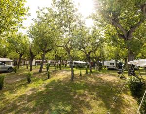 利多但丁科拉塞野营酒店的一群树在田野里,有帐篷