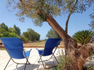 丽都玛里尼特鲁塔卡扎托度假屋的两把蓝色椅子坐在树边