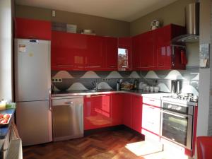 斯托尼拉斯奇Skalny Dom的红色的厨房,配有白色家电和红色橱柜