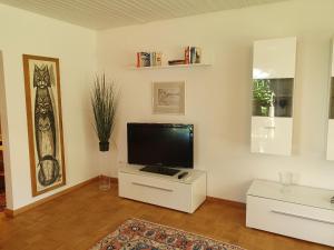 朗根阿根Ferienwohnung Stadler的客厅设有壁挂式平面电视。