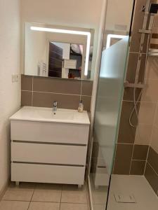 吕兹-圣索沃尔MS APPART** 5 PERS BALCON PISCINE LUZ 5MN的一间带水槽和镜子的浴室