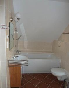 伏尔塔瓦河畔利普诺Villa Gamma - Lipno Home的带浴缸、卫生间和盥洗盆的浴室