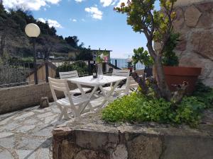 蒙特罗索阿尔马雷Fulvia's cozy apartment with terrace的庭院里种着一棵树,上面摆放着白色的桌子和椅子