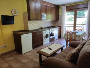 坎加斯-德奥尼斯葡萄园小屋公寓的带沙发的客厅和厨房