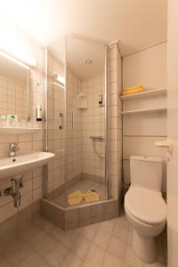 黑灵斯多夫沃尔德酒店的带淋浴、卫生间和盥洗盆的浴室