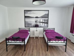 莱茵河畔凯尔Relax City Apartments的墙上画画的房间里设有两张床