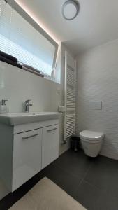 卢斯Apartma Julija的一间带水槽和卫生间的浴室以及窗户。