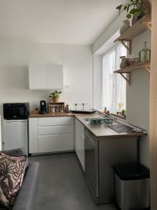布雷斯地区布尔格Appartement T2 proche de la gare Bourg en Bresse的厨房配有白色橱柜和台面