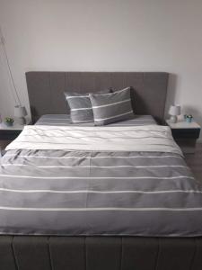 克卢日-纳波卡Gigi Apartment的一张大床,上面有两个枕头