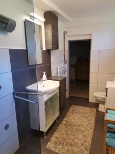 Donja DubravaAppartement Drava 1的一间带水槽和卫生间的小浴室