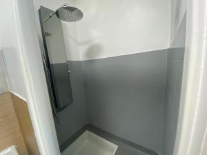 洛里昂Studio Confort Lorient Nouvelle Gare Hypercentre的浴室里设有玻璃门淋浴