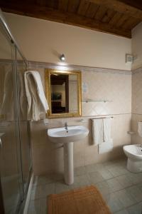 夏卡阿里埃酒店的一间带水槽、淋浴和镜子的浴室