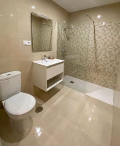 希洪Alojamientos Muelle de Gijón的浴室配有卫生间、盥洗盆和淋浴。