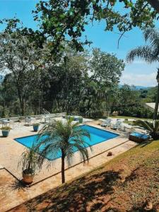 迈里波朗Cantareira - Deck House的一个带椅子的游泳池,并种植了棕榈树