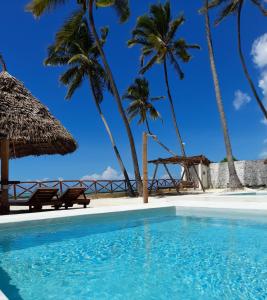 布韦朱Coco Rise Villas - by Hostly的棕榈树海滩旁的游泳池