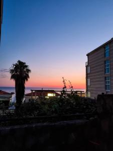 斯韦蒂·斯特凡拉雷斯公寓酒店的棕榈树和建筑的日落