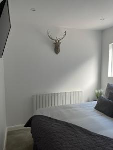 普利斯坦丁Terfyn Hall holiday Apartment 2的卧室配有一张带鹿头的墙壁床。