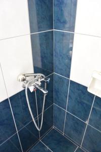 圣加利尼哈里克里亚旅馆的浴室铺有蓝色瓷砖,配有带软管的淋浴