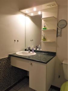 帕皮提TAHITI - Studio Te Maraamu的一间带水槽和镜子的浴室